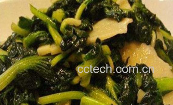 塔菜怎么做好吃 塔菜的做法大全-1