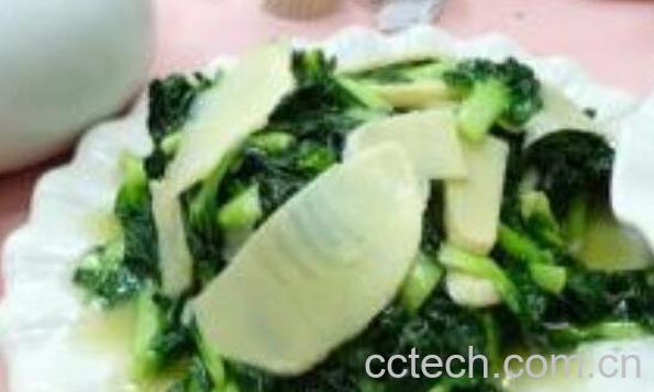 塔菜怎么做好吃 塔菜的做法大全-0