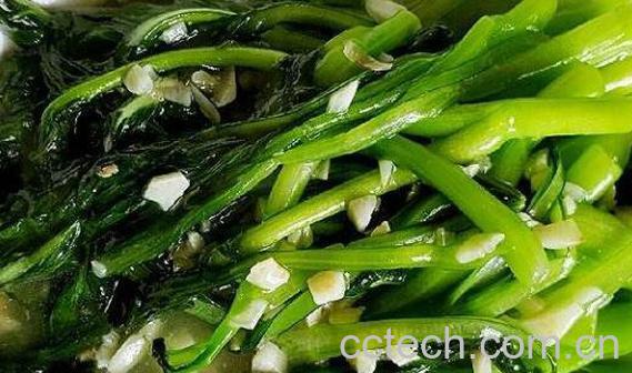 广东菜心的营养价值 广东菜心的做法-0
