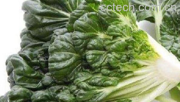 乌塌菜怎么吃 乌塌菜的家常做法-0