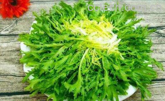 苦菊怎么做好吃 苦菊的家常做法-0