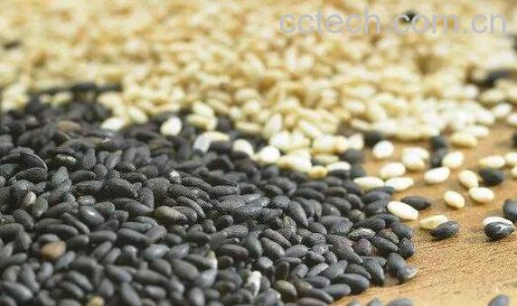 白芝麻和黑芝麻的区别-0