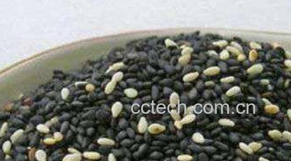 白芝麻和黑芝麻的区别-1