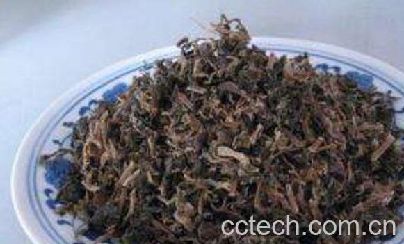 梅干菜是用什么菜做的 正宗梅干菜腌制方法-1
