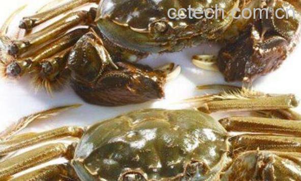 活螃蟹怎么保存 活螃蟹如何保鲜-0