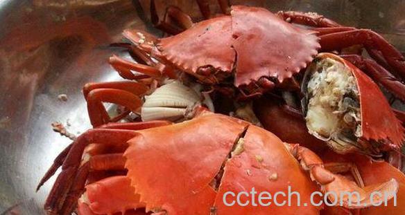 螃蟹怎么吃 螃蟹不能和什么一起吃-0