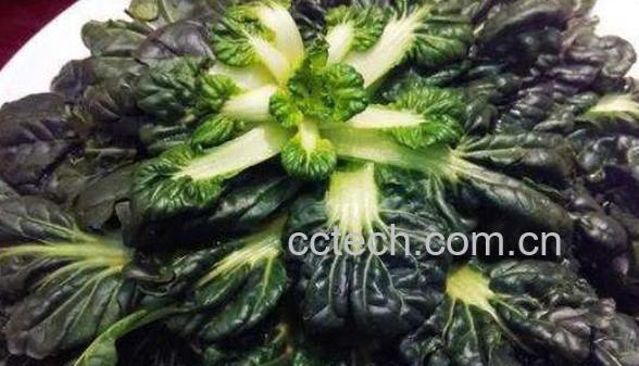 塔菜的功效与作用 塔菜的食用禁忌-0