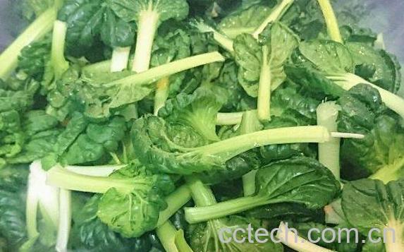 塔菜的功效与作用 塔菜的食用禁忌-1