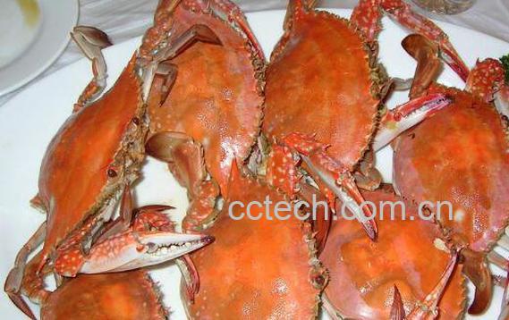 螃蟹怎么保存 螃蟹保鲜的方法技巧-0
