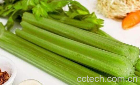 冬季吃什么菜好呢 适合冬季吃的食物大全-0