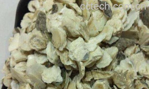 龙骨牡蛎的功效与作用-0