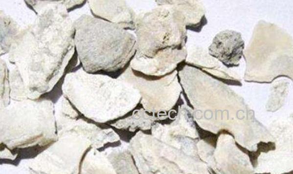 龙骨牡蛎的功效与作用-1