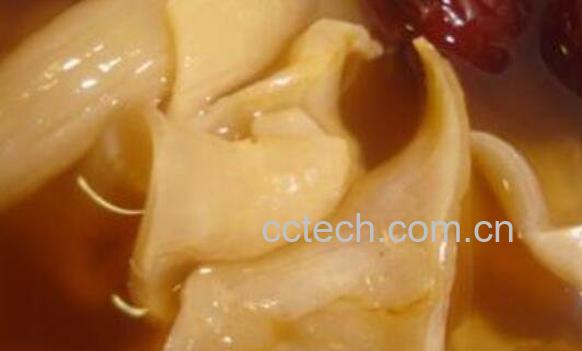 鱼胶怎么吃才有营养 鱼胶怎么吃效果最好-1