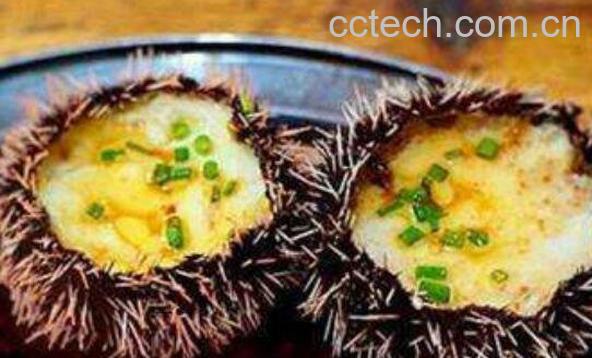 海胆蒸蛋怎么做好吃 海胆蒸蛋的家常做法-1