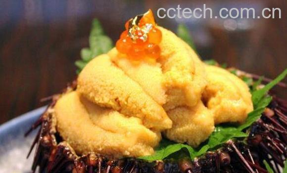 海胆的营养价值 吃海胆的功效作用-0