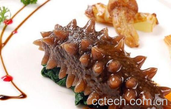 辽参的营养价值与功效 -0