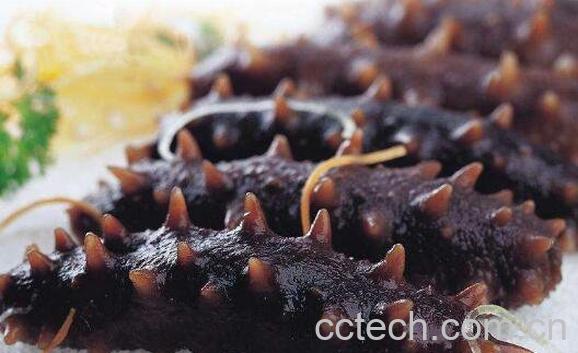 辽参的营养价值与功效 -1