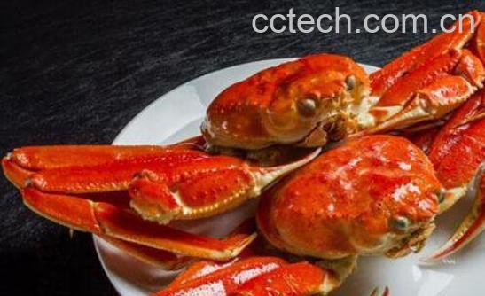 孕妇能吃螃蟹吗 孕妇吃螃蟹的好处和坏处-1