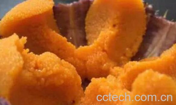 海胆怎么做好吃 海胆的家常做法大全-1