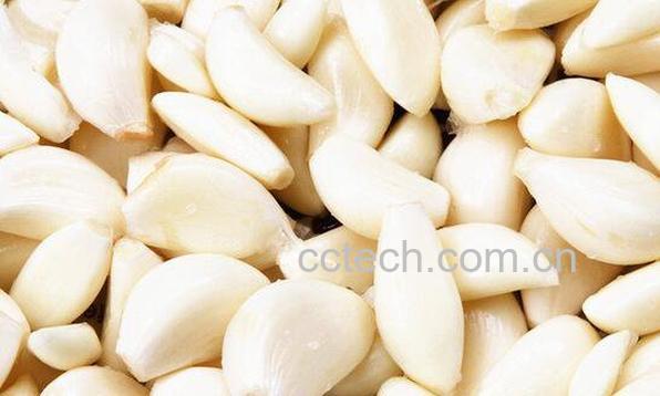 大蒜的功效与作用 吃大蒜有什么功效-1