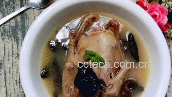 鸽子汤的功效与作用及做法-1