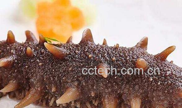 干海参如何泡发 干海参怎么泡发最好-1