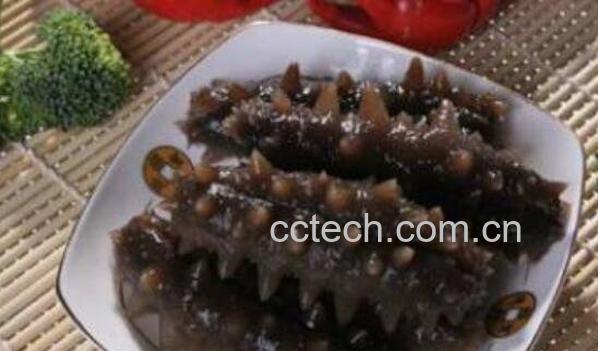 干海参怎么吃 干海参的做法与吃法-1