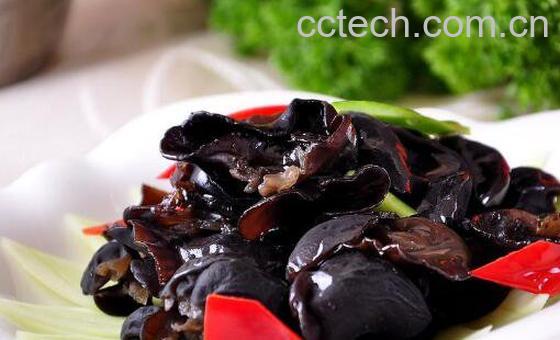 木耳的功效与作用 木耳的食用禁忌-1