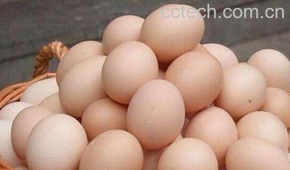 咳嗽能吃鸡蛋吗 哪些人不能吃鸡蛋-0