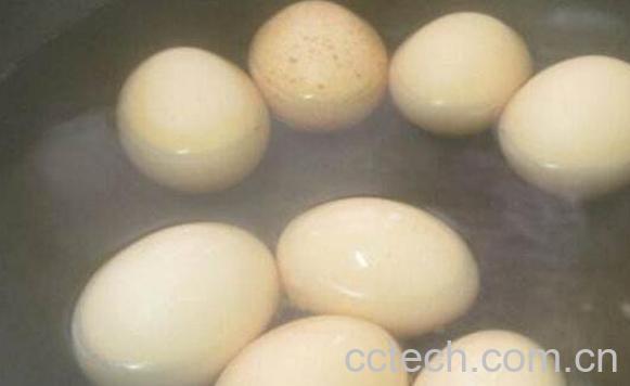 煮鸡蛋需要多长时间 煮鸡蛋用开水还是冷水-1
