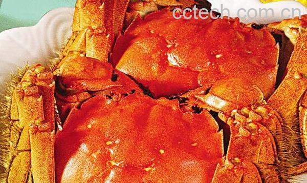 大闸蟹怎样煮 怎样制作大闸蟹-1