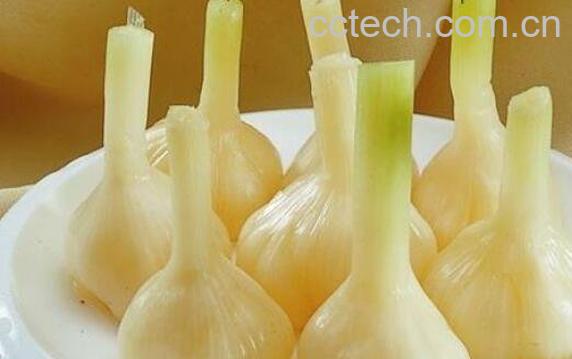 蜂蜜加大蒜的功效 蜂蜜腌大蒜的做法大全-1