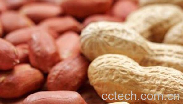 花生的功效与作用 花生的营养价值-0