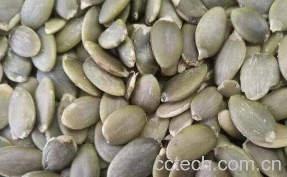 南瓜子能降血糖吗 吃南瓜子的功效与作用有哪些-1