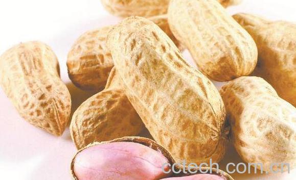 花生的功效与作用 花生的营养价值-1