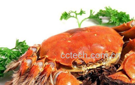 螃蟹死了还能吃吗 吃死螃蟹的危害与副作用-0