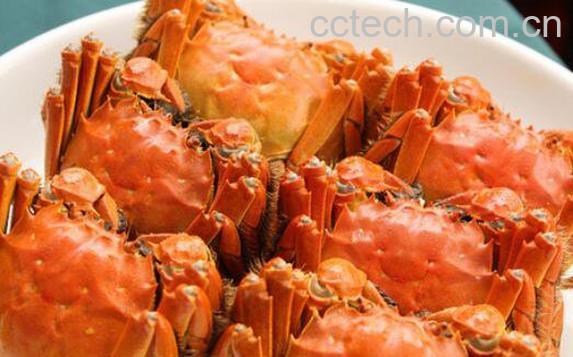 螃蟹死了还能吃吗 吃死螃蟹的危害与副作用-1