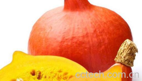 南瓜把的功效与作用-1