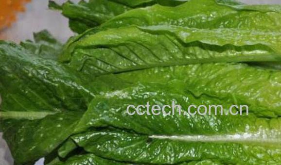 莴笋叶子能吃吗 莴笋不能和什么一起吃-1