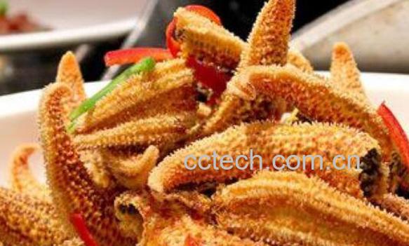 干海星泡酒方法和功效-1