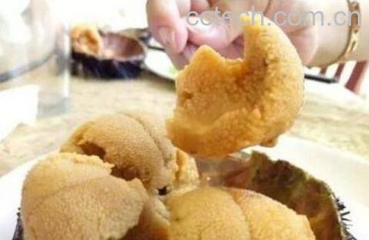 新鲜的海胆怎么处理 海胆怎么去内脏-0
