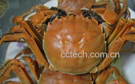 怎么煮螃蟹 煮螃蟹的做法步骤-1