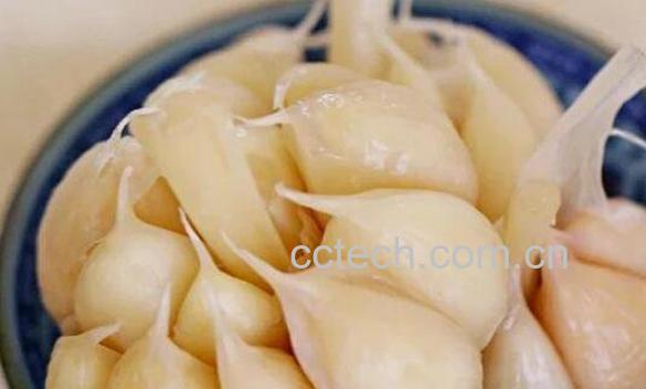 蒜头怎么腌制好吃 蒜头的腌制方法-1