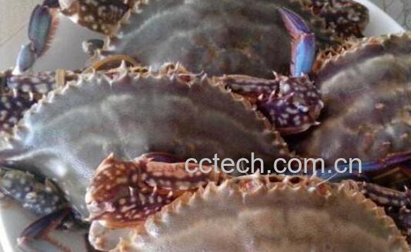 清蒸螃蟹如何清洗 做清蒸螃蟹的注意事项-0