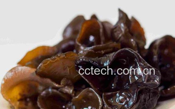 黑木耳不能和什么一起吃 黑木耳的食用禁忌-0