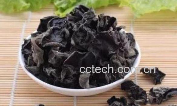 黑木耳不能和什么一起吃 黑木耳的食用禁忌-1