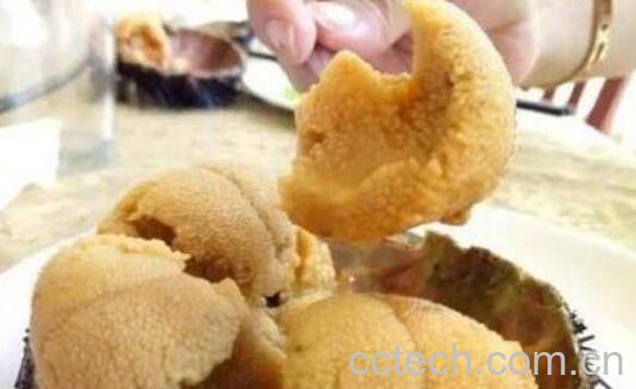 海胆怎么吃 海胆的吃法大全-0