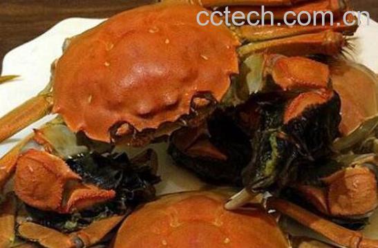 怎么煮螃蟹好吃又简单 好吃螃蟹的煮法技巧-1