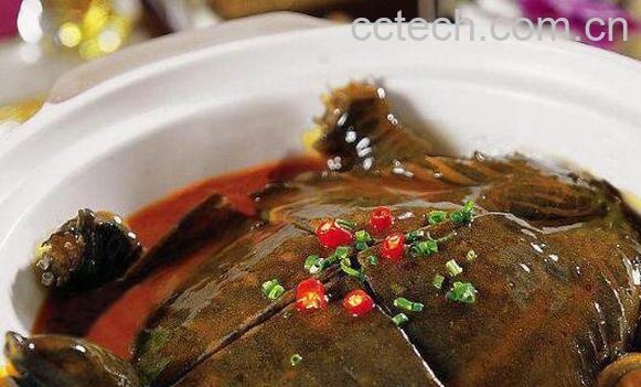 甲鱼汤的功效与禁忌 甲鱼汤什么人不适合吃-1