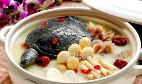 甲鱼汤的功效与禁忌 甲鱼汤什么人不适合吃-0